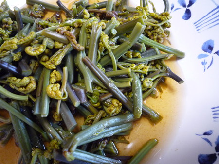 年に一度の山菜三昧