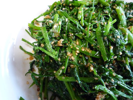 年に一度の山菜三昧