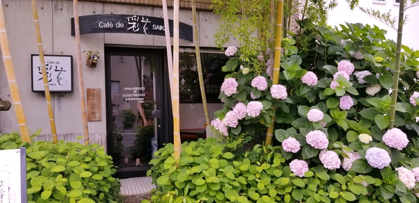 女性らしい心配りが見える「カフェド 彩花」