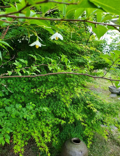 お気の毒な連れ合いさん
