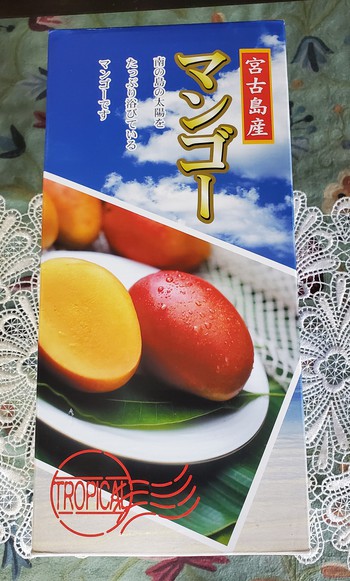 完熟マンゴー甘～い！気分は南の島よ。