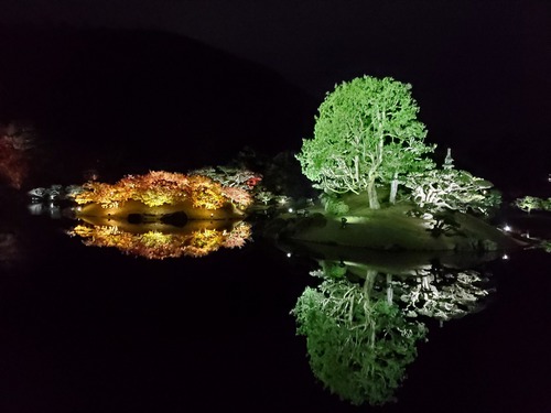 デートに打って付けの栗林公園ライトアップ