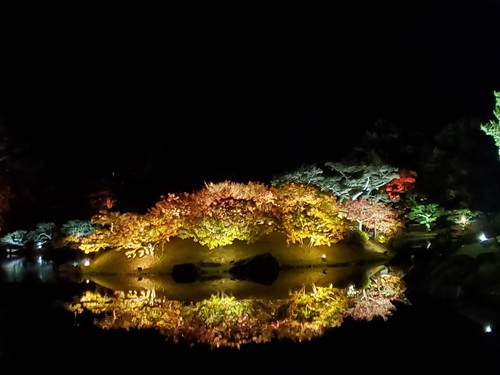 デートに打って付けの栗林公園ライトアップ