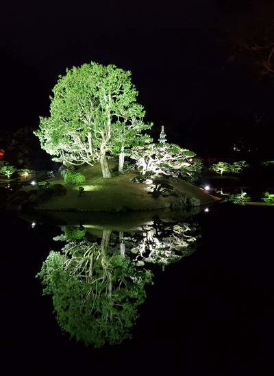 デートに打って付けの栗林公園ライトアップ
