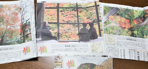 ダンナさまの友人からの便りに感動