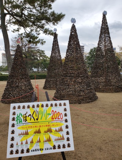 松ぼっくり3万個で作ったクリスマスツリー