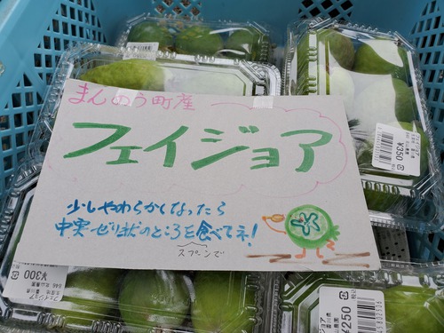 始めてお目にかかった果物