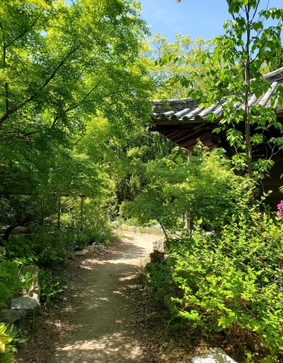 緑いっぱいの森の中にあった志度寺