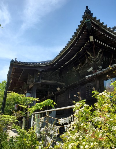 緑いっぱいの森の中にあった志度寺