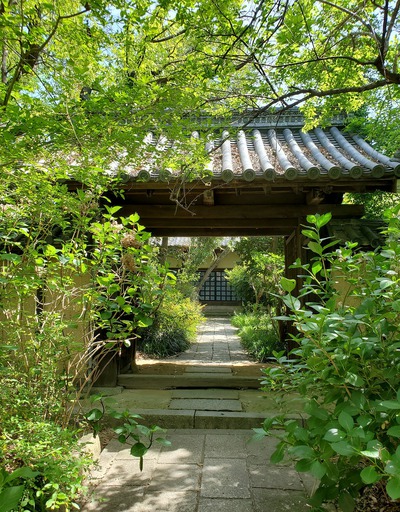 緑いっぱいの森の中にあった志度寺