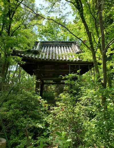 緑いっぱいの森の中にあった志度寺