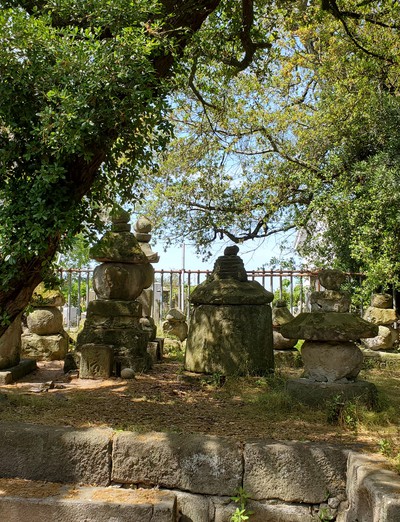 緑いっぱいの森の中にあった志度寺