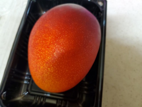 香川産のマンゴーを食べる。