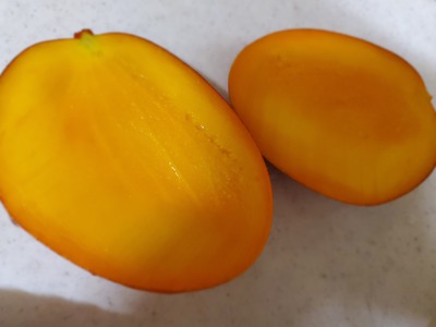 香川産のマンゴーを食べる。