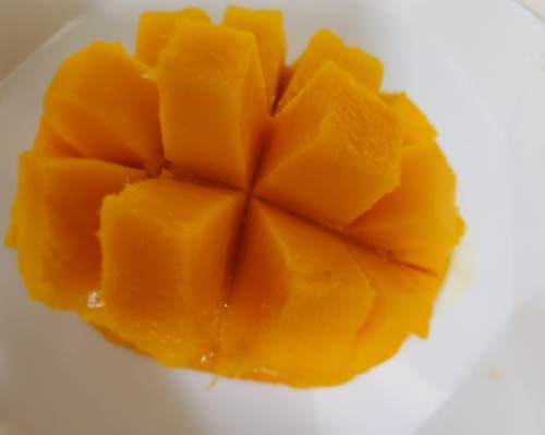 香川産のマンゴーを食べる。