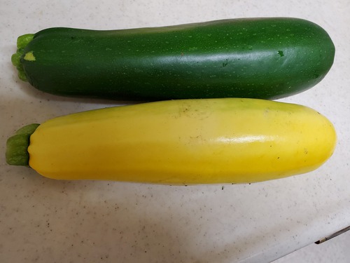 初めて食べた野菜