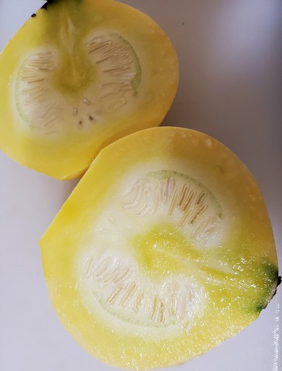 初めて食べた野菜