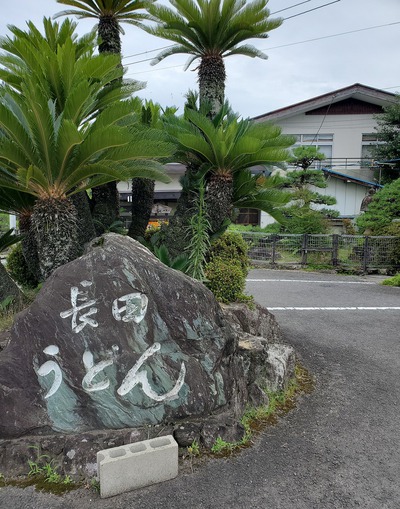 何十年ぶりに長田うどんに行った。