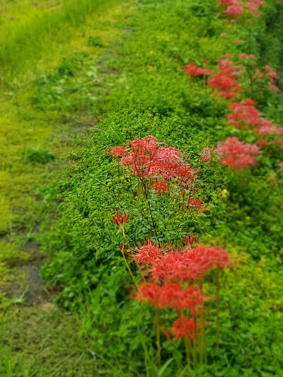 月が笑ってる