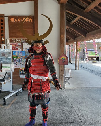 讃州井筒屋敷でお雛さま見学