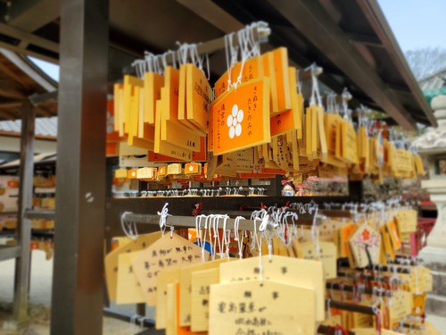 梅花堂の珈琲と梅大福で一服した。