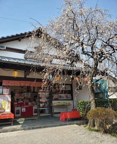 梅花堂の珈琲と梅大福で一服した。