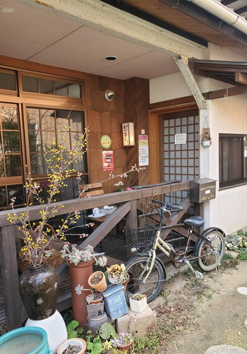 「わがまんま」でランチして、満開の河津桜