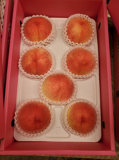 甘い！見事な飯山の桃