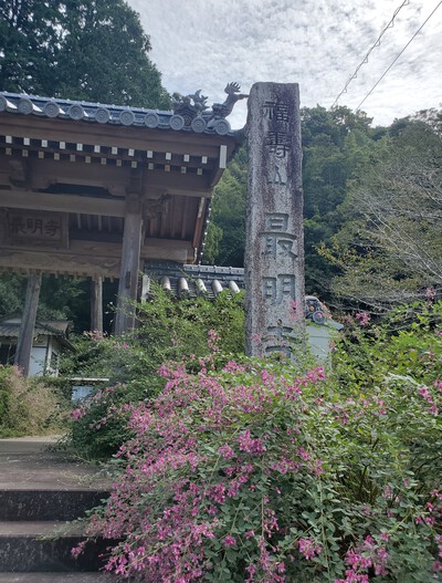 萩の花に癒される「萩の寺　最明寺」