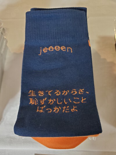 プロジェクションマッピングと匠のたくらみ