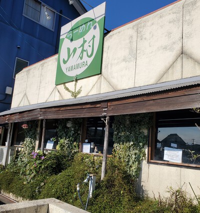 山村ラーメンと徳島ラーメン、二人の好みが違う。