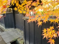 旅の最後は、角館の美しい紅葉