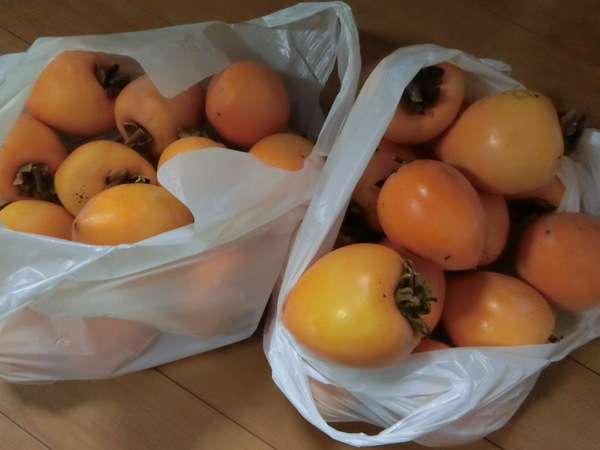 あんなに悔しかったはずなのに・・・