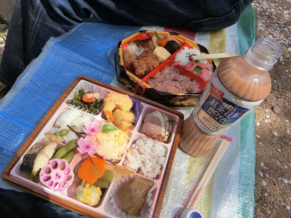 毎年思うのよね。今年の桜も最高✿