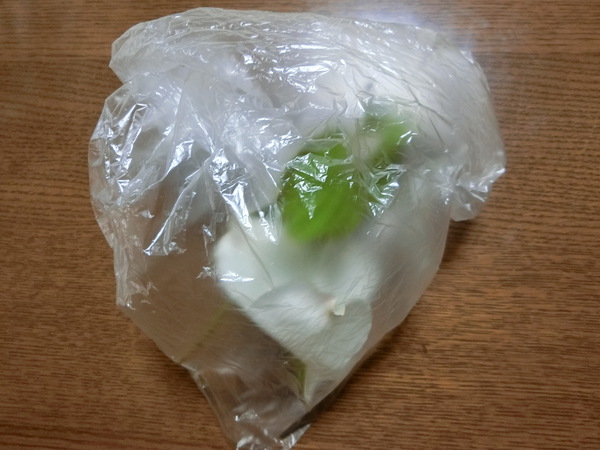 友人から意外なプレゼント