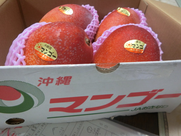 マンゴーが大好き