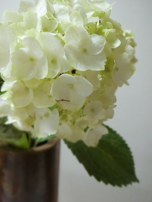 花を長持ちさせる方法