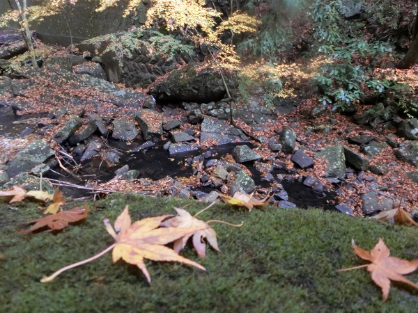 讃岐カマタマーレの悲しい結果