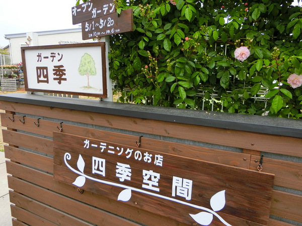 素敵なバラ庭拝見