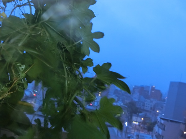 何だか恐い
