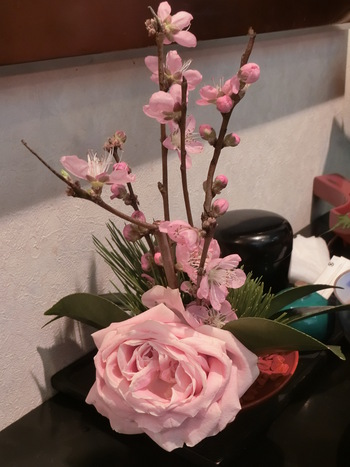 お雛さま膳を『カフェド 彩花』で