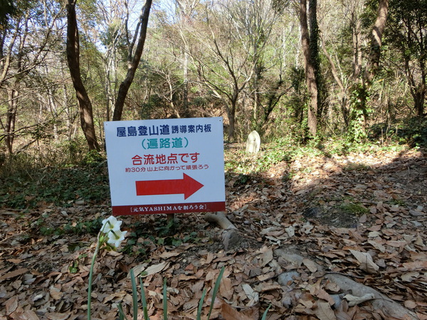 屋島が呼んでいる～～