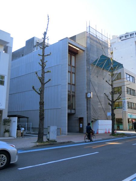 ワタシの願い！街路樹の紅葉を見せて・・・。