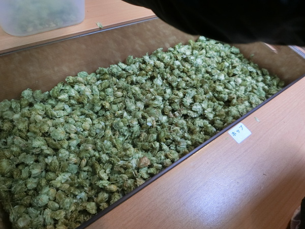 出来立てのビールは美味しかった。