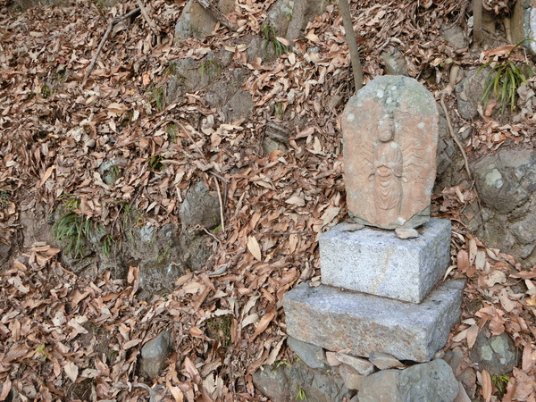 屋島が呼んでいる～～