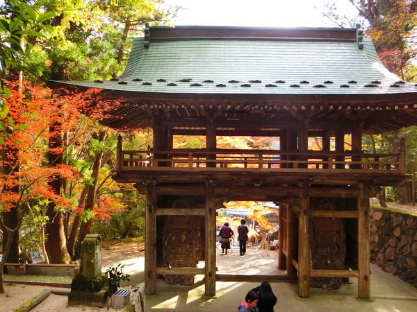 最高の紅葉