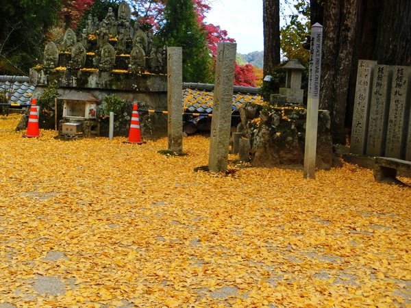 最高の紅葉