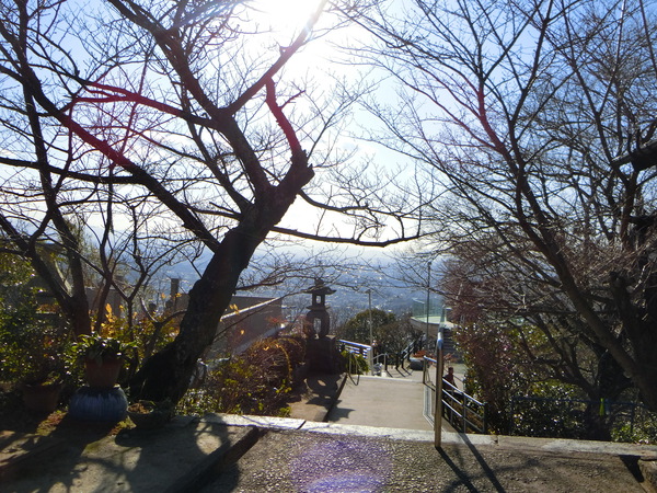 ５度目の初詣は八栗寺