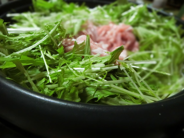 昔食べた「ハリハリ鍋」が食べたいと言うので・・・