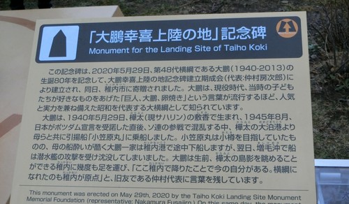 日本最果ての北の街を走る。